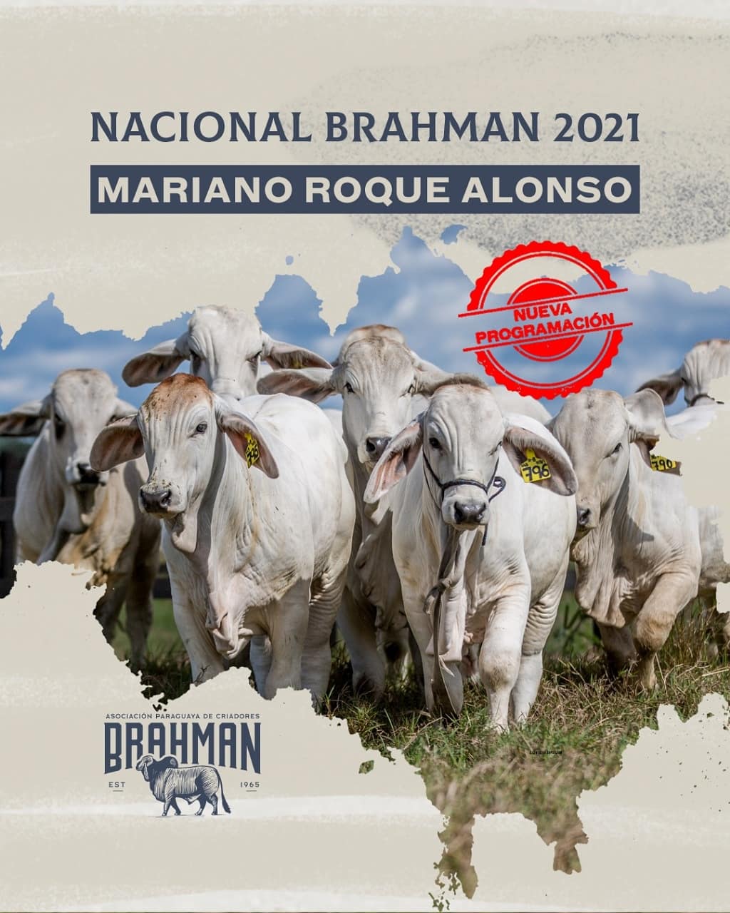 Nacional Brahman 2021