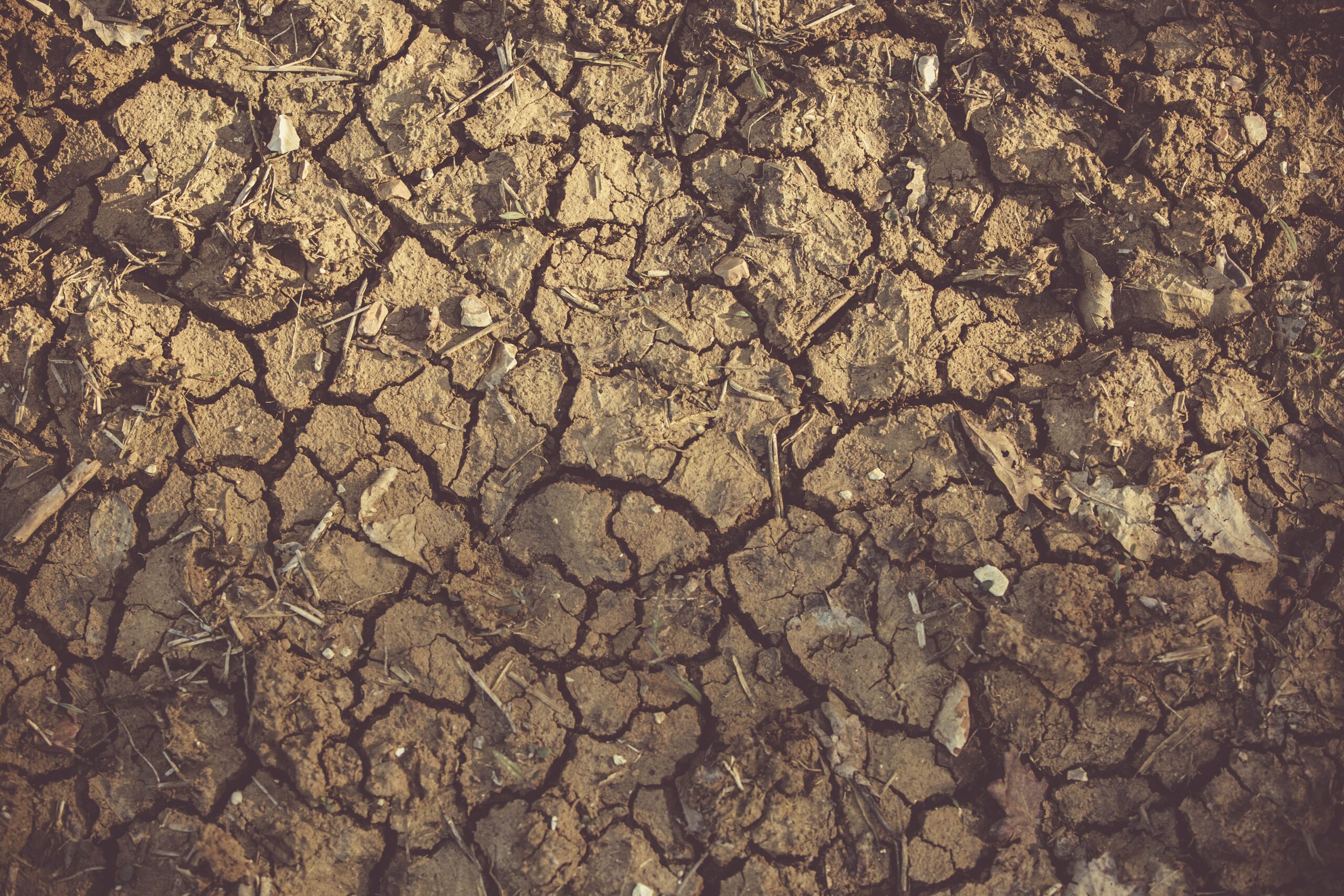 Sequía Paraguay