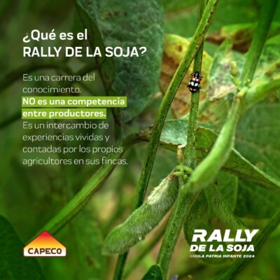 Que-es-rally-400x400