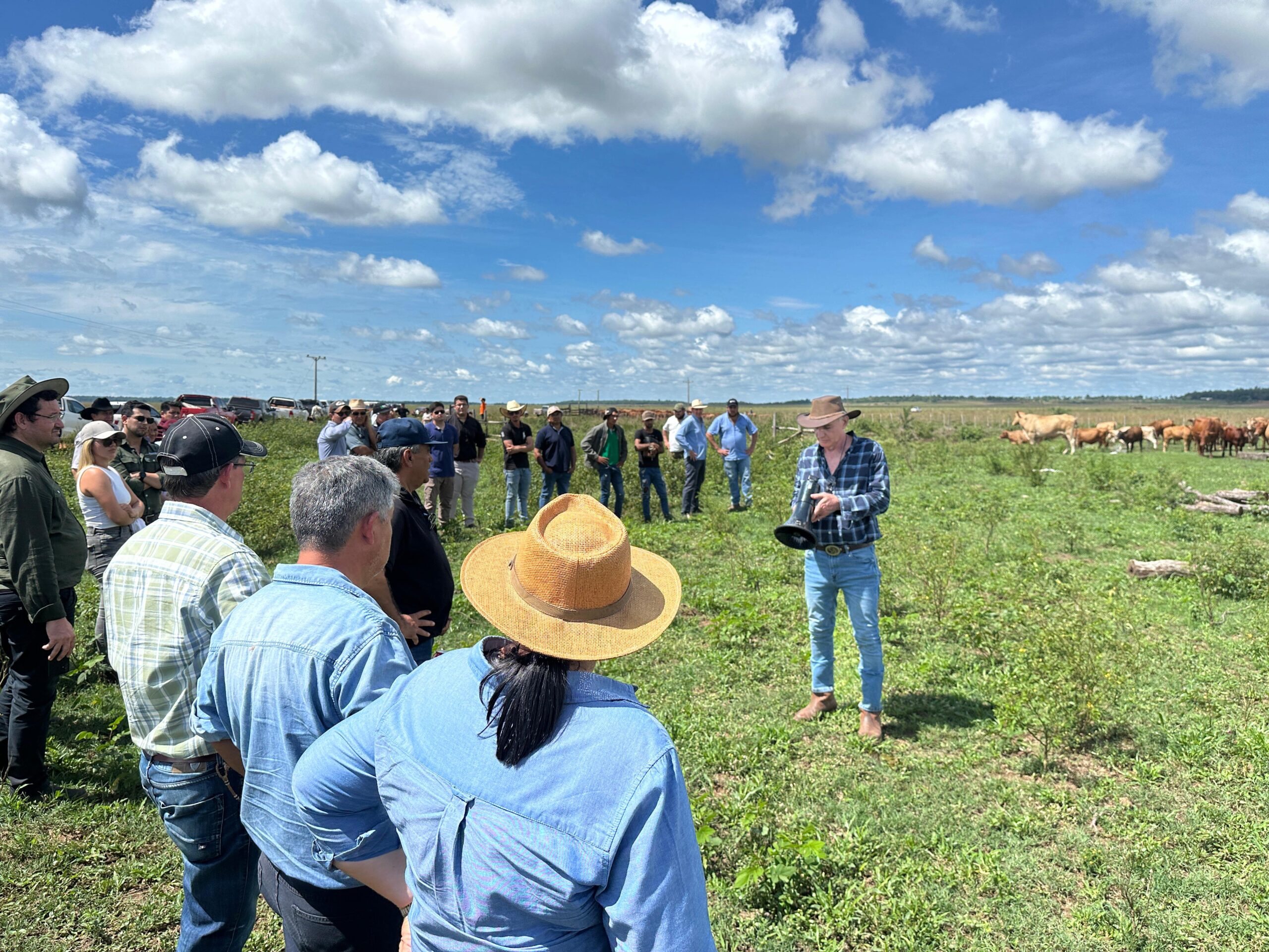 WhatsApp Image 2025-04-07 at 17.15.23