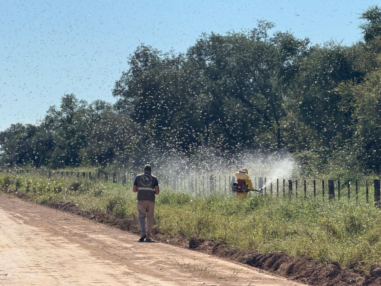 WhatsApp-Image-2025-06-10-at-16.54.17