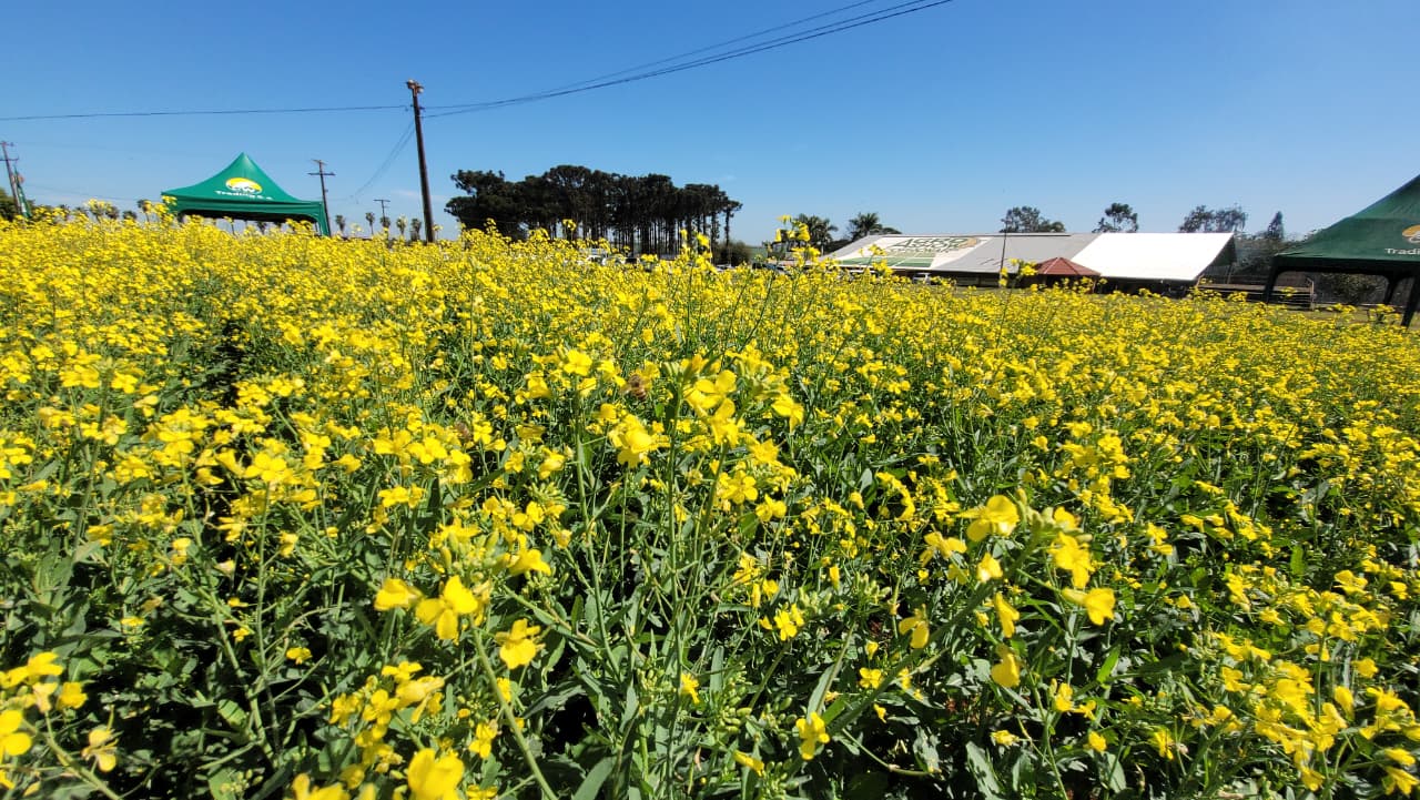 WhatsApp Image 2025-08-18 at 20.18.18