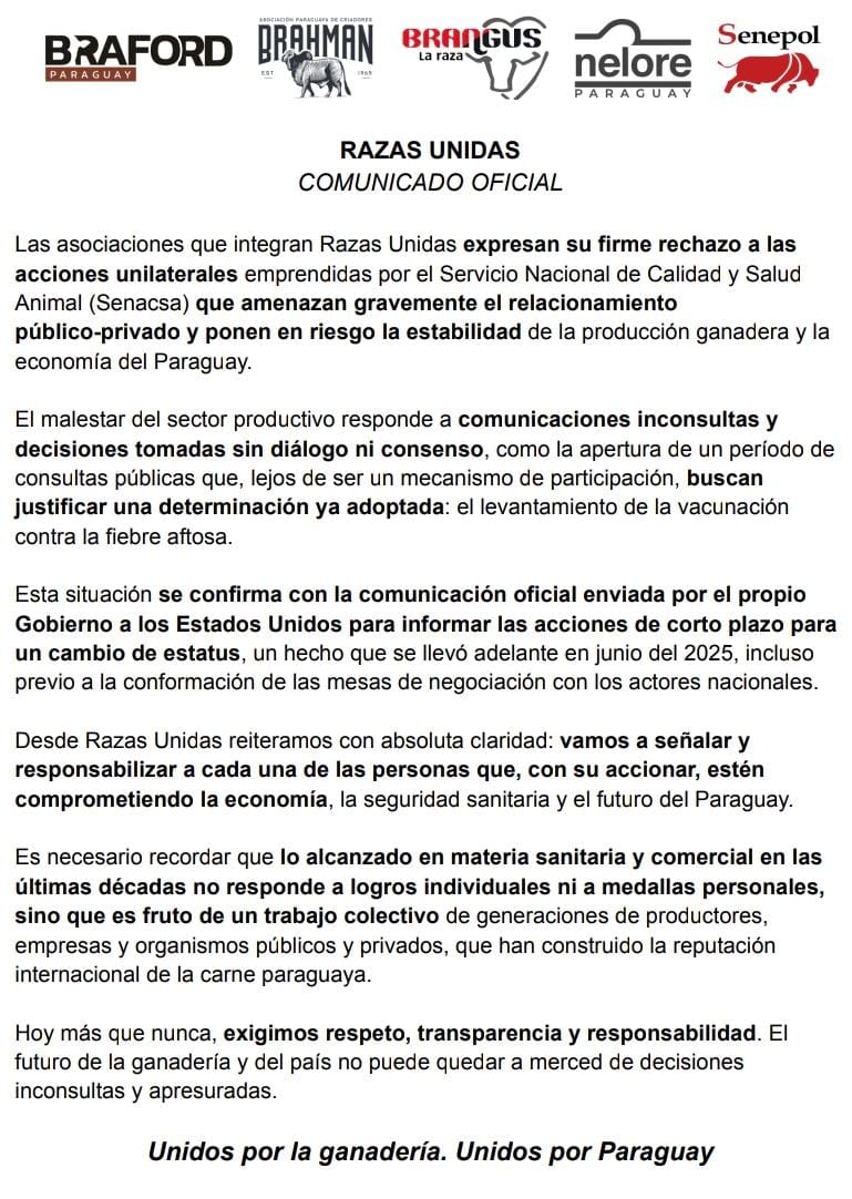 WhatsApp Image 2025-08-27 at 17.24.11