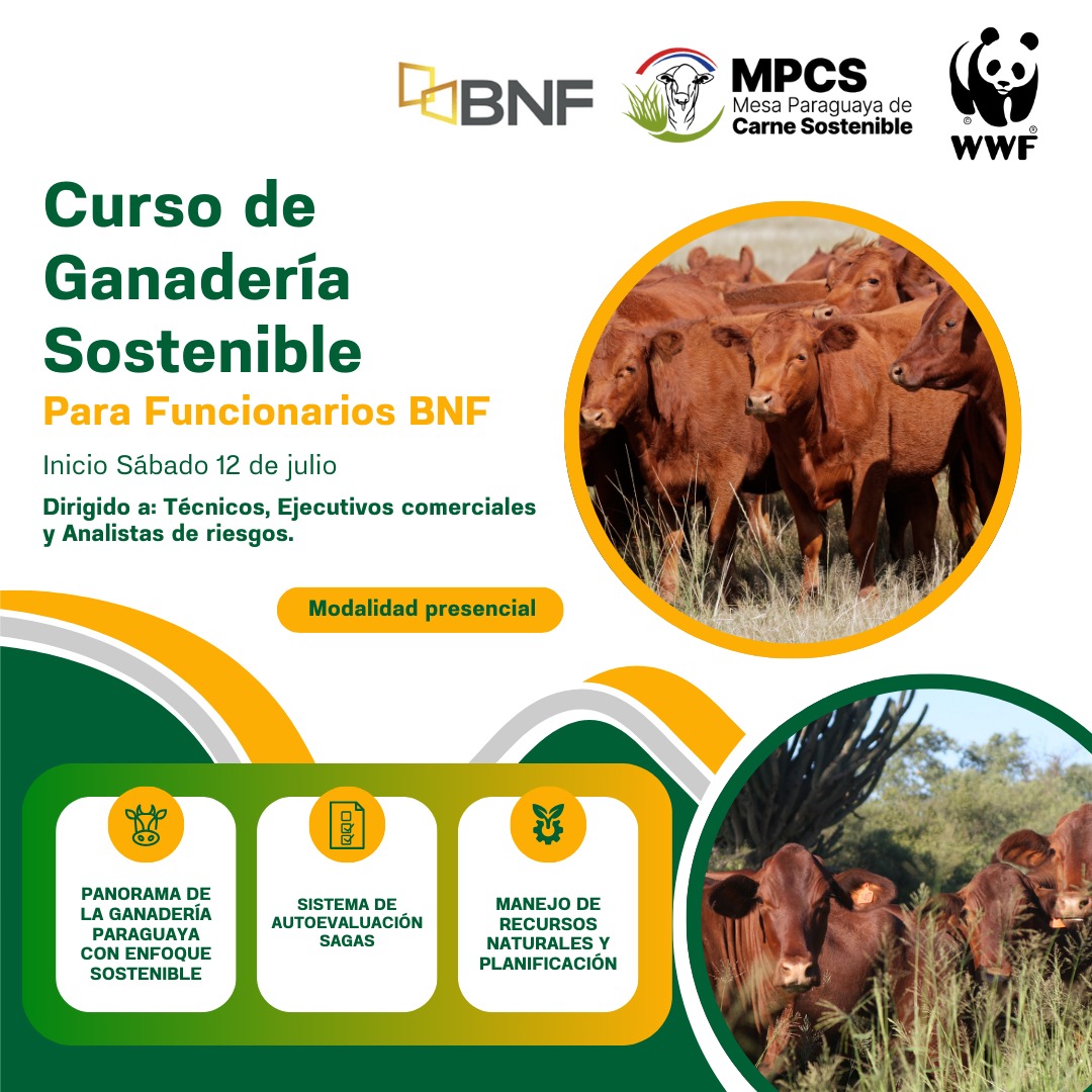 WhatsApp Image 2025-09-02 at 17.50.26