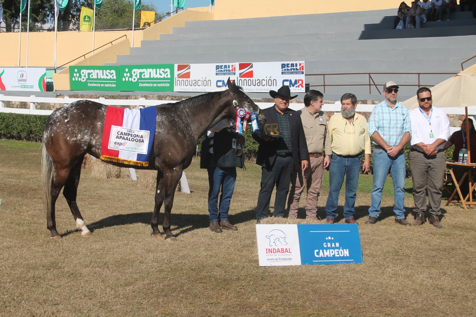 WhatsApp Image 2025-09-16 at 10.38.47 (1)