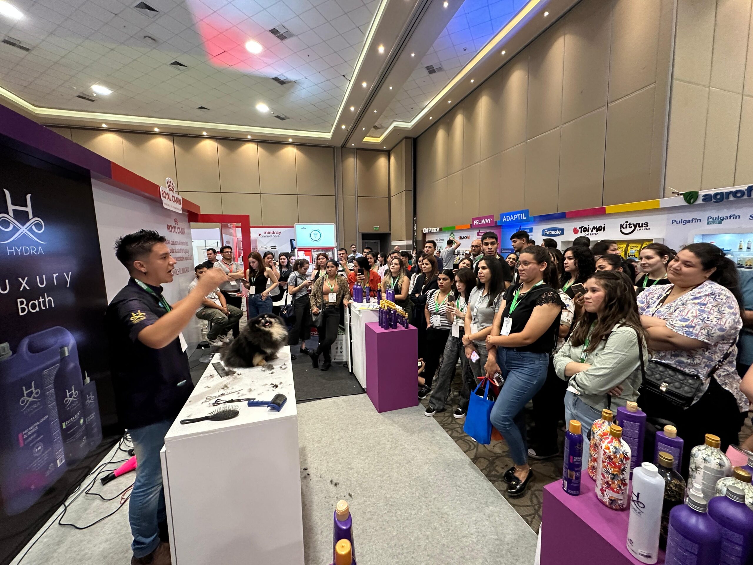 WhatsApp Image 2025-11-17 at 12.51.24