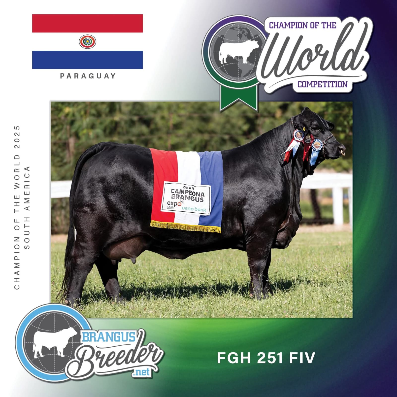 WhatsApp Image 2025-12-04 at 12.45.47