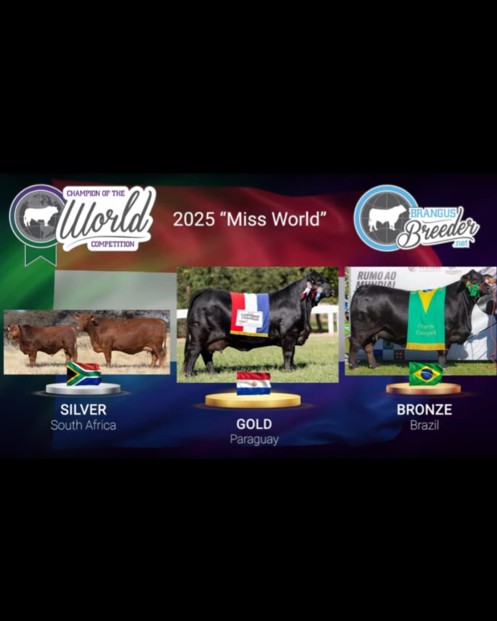 WhatsApp Image 2025-12-12 at 18.12.11