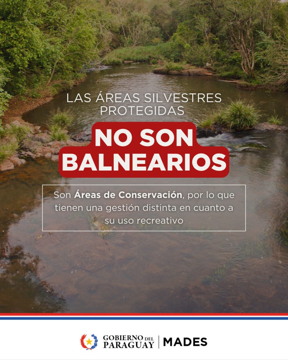 WhatsApp-Image-2025-12-24-at-2.24.28-PM-980x1225