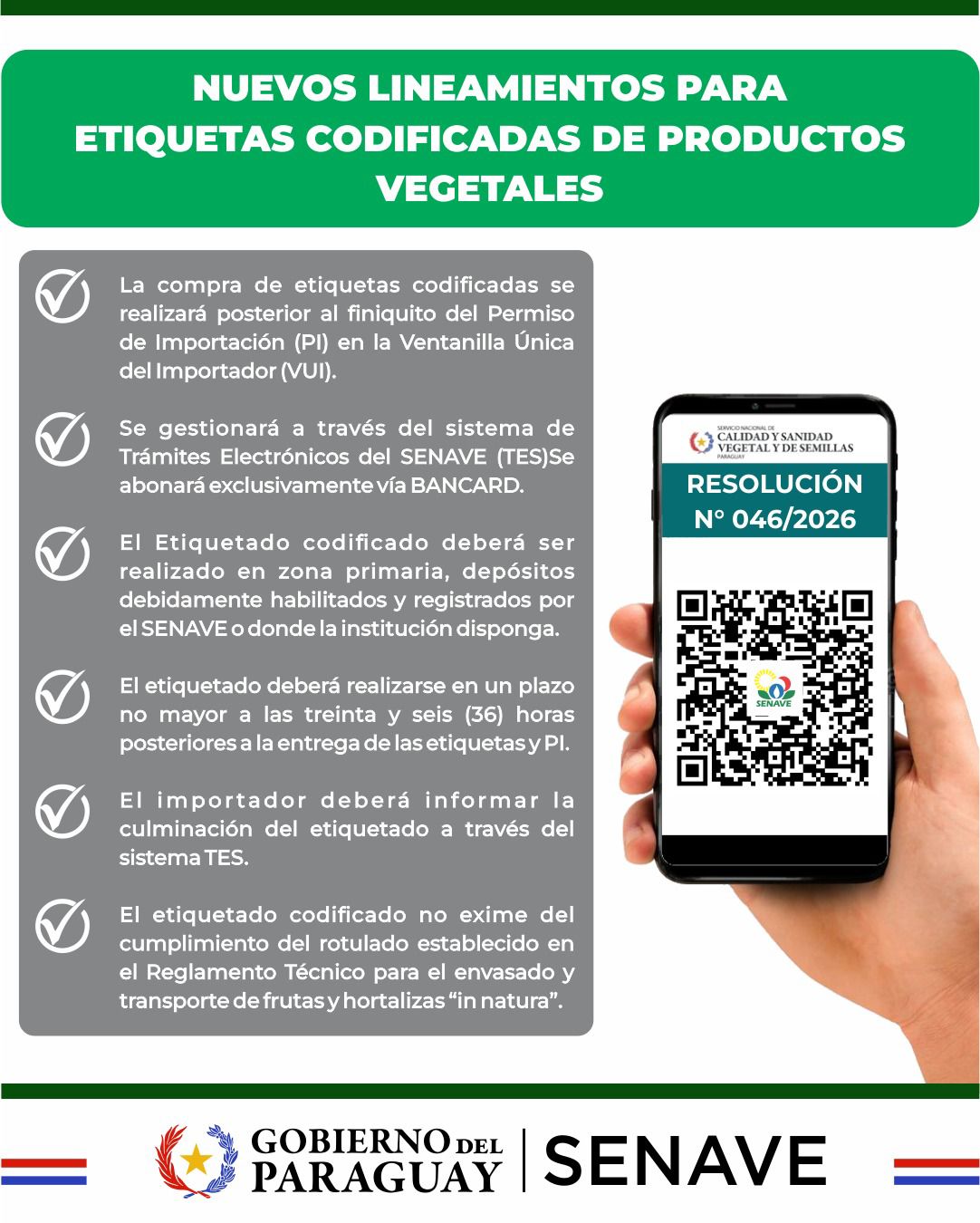 WhatsApp Image 2026-01-29 at 17.07.31