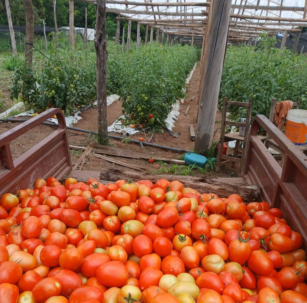 619601178_1598910487963821_3866892127802545175_n (1)