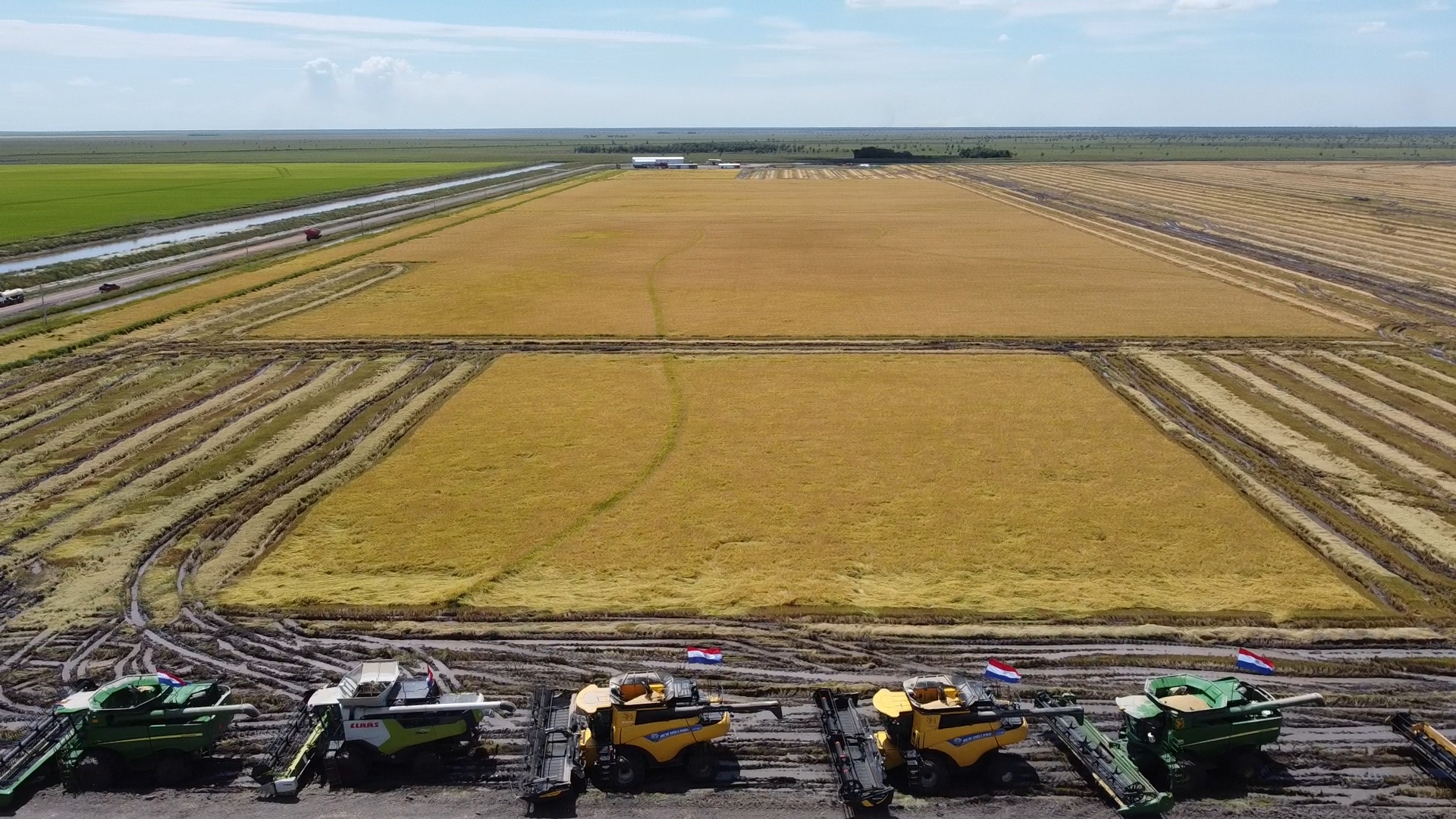 ARROZAL FOTOS_1.9.2.jpg