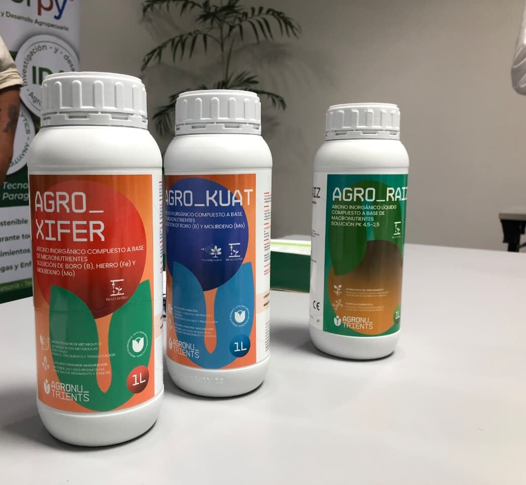 WhatsApp Image 2026-02-26 at 16.12.25