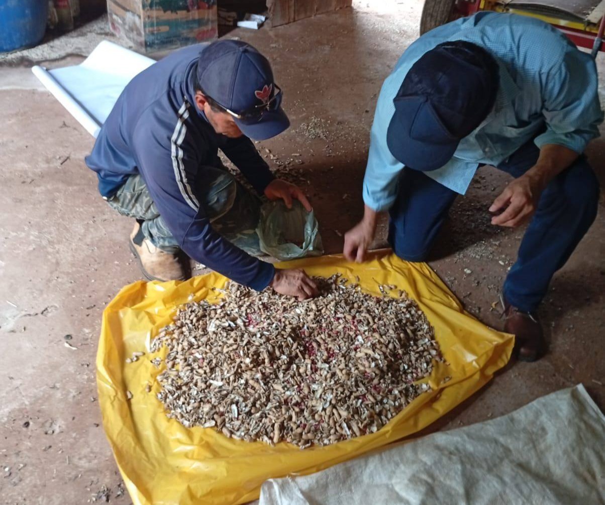 650179686_1636484770873059_3846190852051920471_n