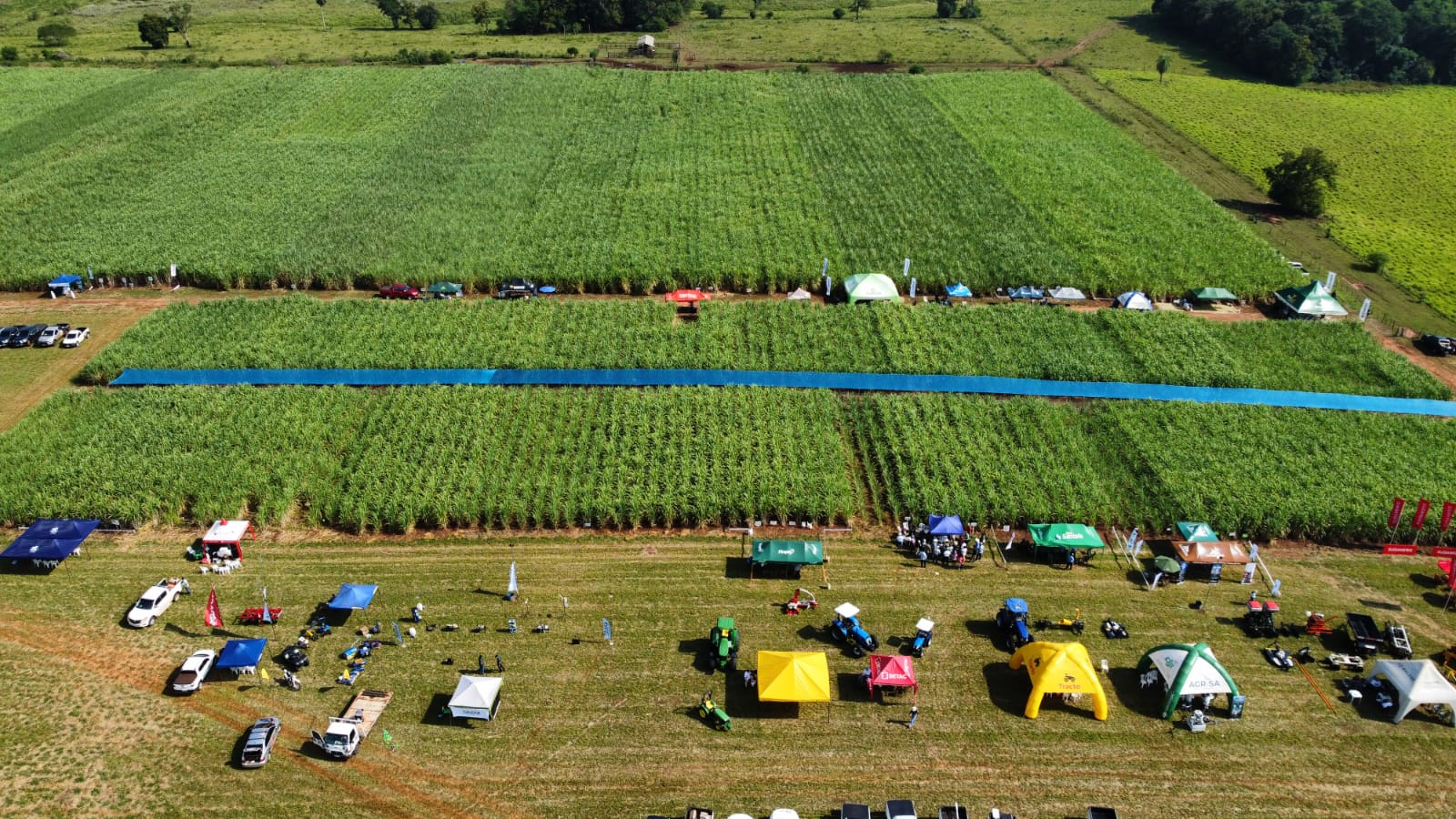 WhatsApp Image 2026-03-13 at 20.29.21