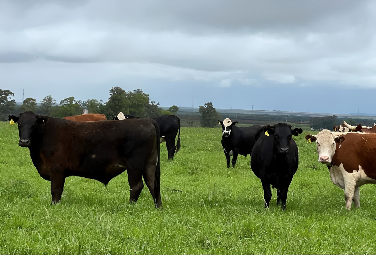 WhatsApp Image 2026-04-13 at 09.10.07