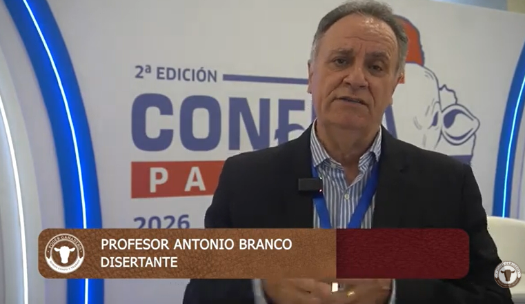 Sin título