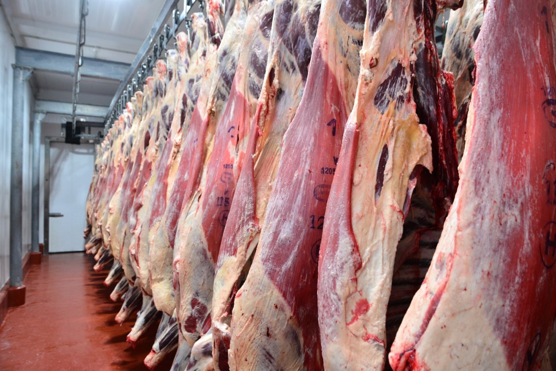 Carne faena