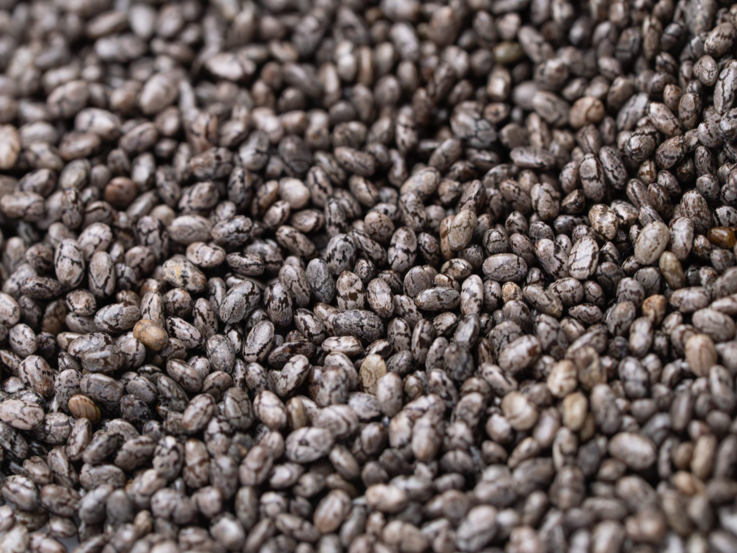 Chia